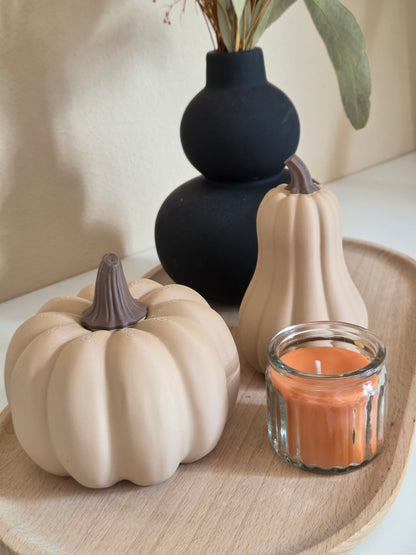 Herbstdeko Kürbis, Deko Kürbis modern, Deko Kürbis Set