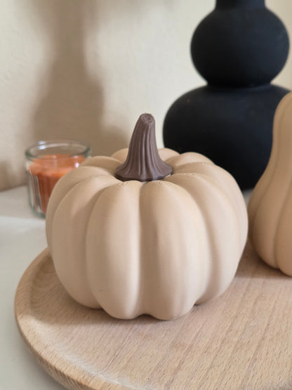 Herbstdeko Kürbis, Deko Kürbis modern, Deko Kürbis Set