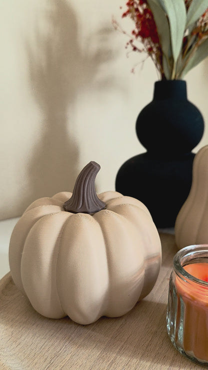 Herbstdeko Kürbis, Deko Kürbis modern, Deko Kürbis Set